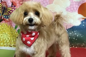 1月のお友達☆