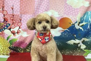 1月のお友達☆