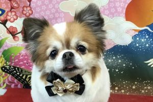 1月のお友達☆