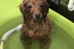 1月のお友達☆