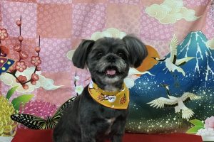 1月のお友達☆