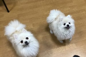 お泊り☆