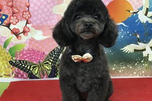 1月のお友達☆
