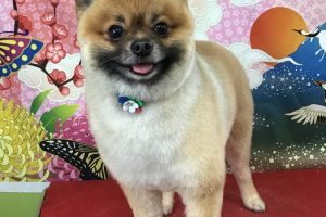 1月のお友達☆