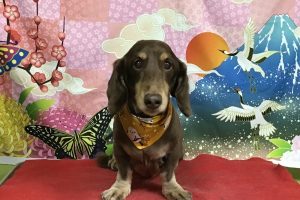 1月のお友達☆