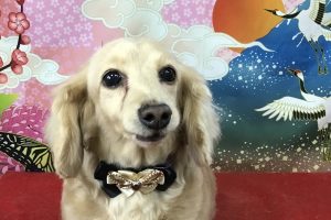 1月のお友達☆