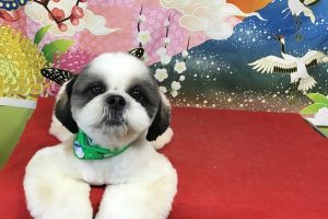 1月のお友達☆