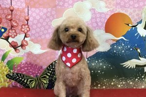 １月のお友達☆