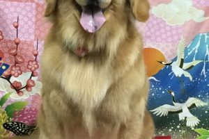 1月のお友達☆