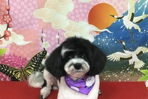 1月のお友達☆