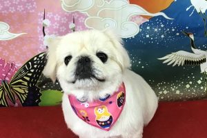 1月のお友達☆