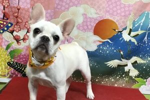 1月のお友達☆