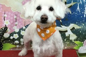 １月のお友達☆