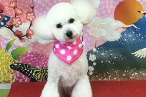 1月のお友達☆