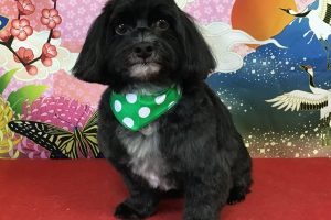 1月のお友達☆