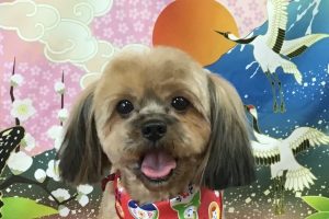 1月のお友達☆