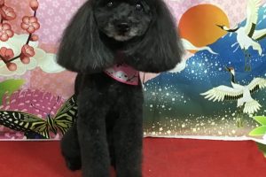 1月のお友達☆