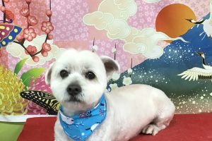 １月のお友達☆