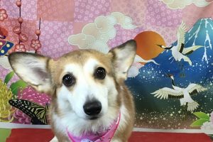 1月のお友達☆