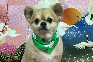 1月のお友達☆