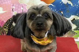 1月のお友達☆
