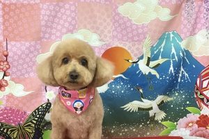 1月のお友達☆