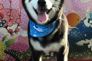 1月のお友達☆