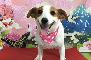 １月のお友達☆