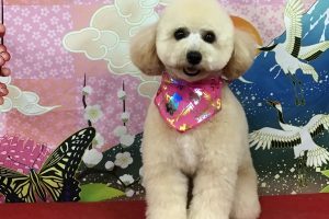 1月のお友達☆