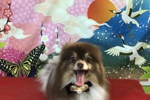 １月のお友達☆