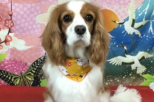 1月のお友達☆