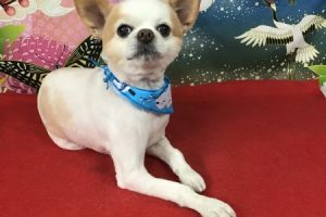 1月のお友達☆
