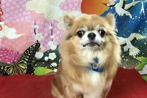 1月のお友達☆