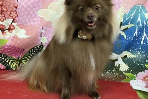 1月のお友達☆