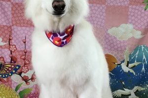 1月のお友達☆