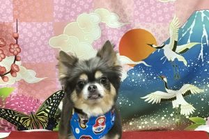 1月のお友達☆