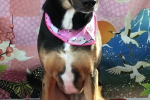 1月のお友達☆