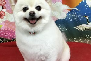 1月のお友達☆