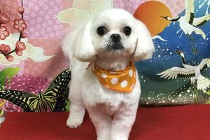 1月のお友達☆