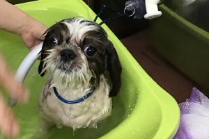 1月のお友達☆