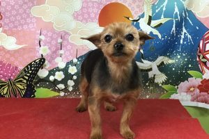 1月のお友達☆