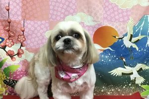 1月のお友達☆