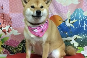 1月のお友達☆