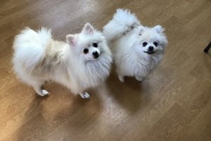 お泊り☆