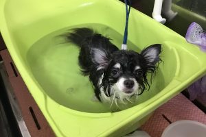 1月のお友達☆