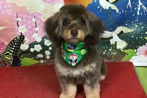 1月のお友達☆