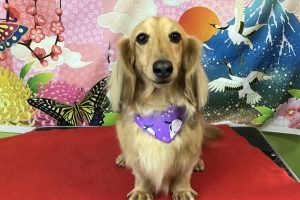 1月のお友達☆