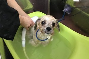 1月のお友達☆