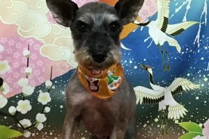 1月のお友達☆