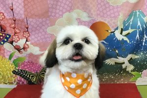 １月のお友達☆